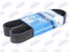 BTA B08-10PK1145 V-Ribbed Belts